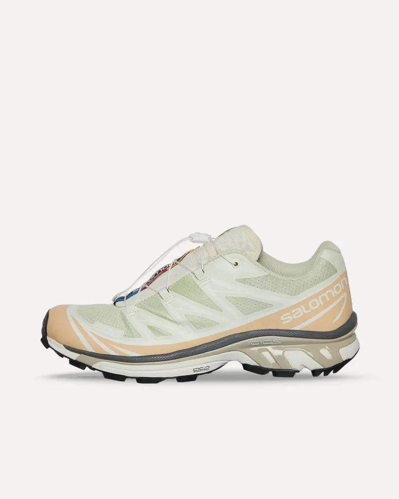 Salomon XT-6 Aloe Wash / Hazelnut / Feather Gray L47293700 sneaker